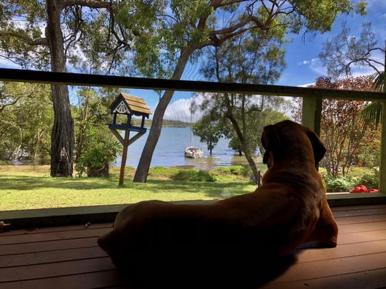 Views from the back porch